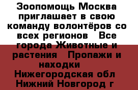 Зоопомощь.Москва приглашает в свою команду волонтёров со всех регионов - Все города Животные и растения » Пропажи и находки   . Нижегородская обл.,Нижний Новгород г.